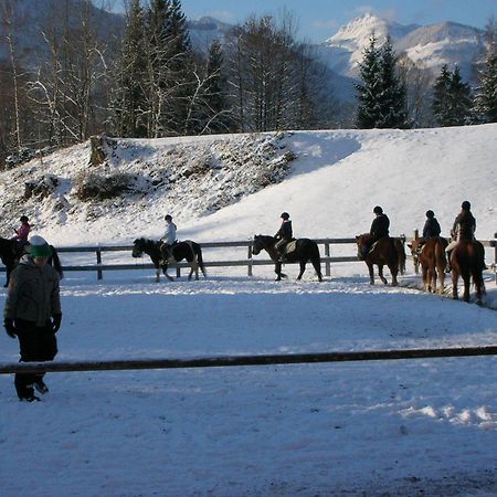 Reiterhof Suassbauer Villa Sankt Wolfgang im Salzkammergut Bagian luar foto