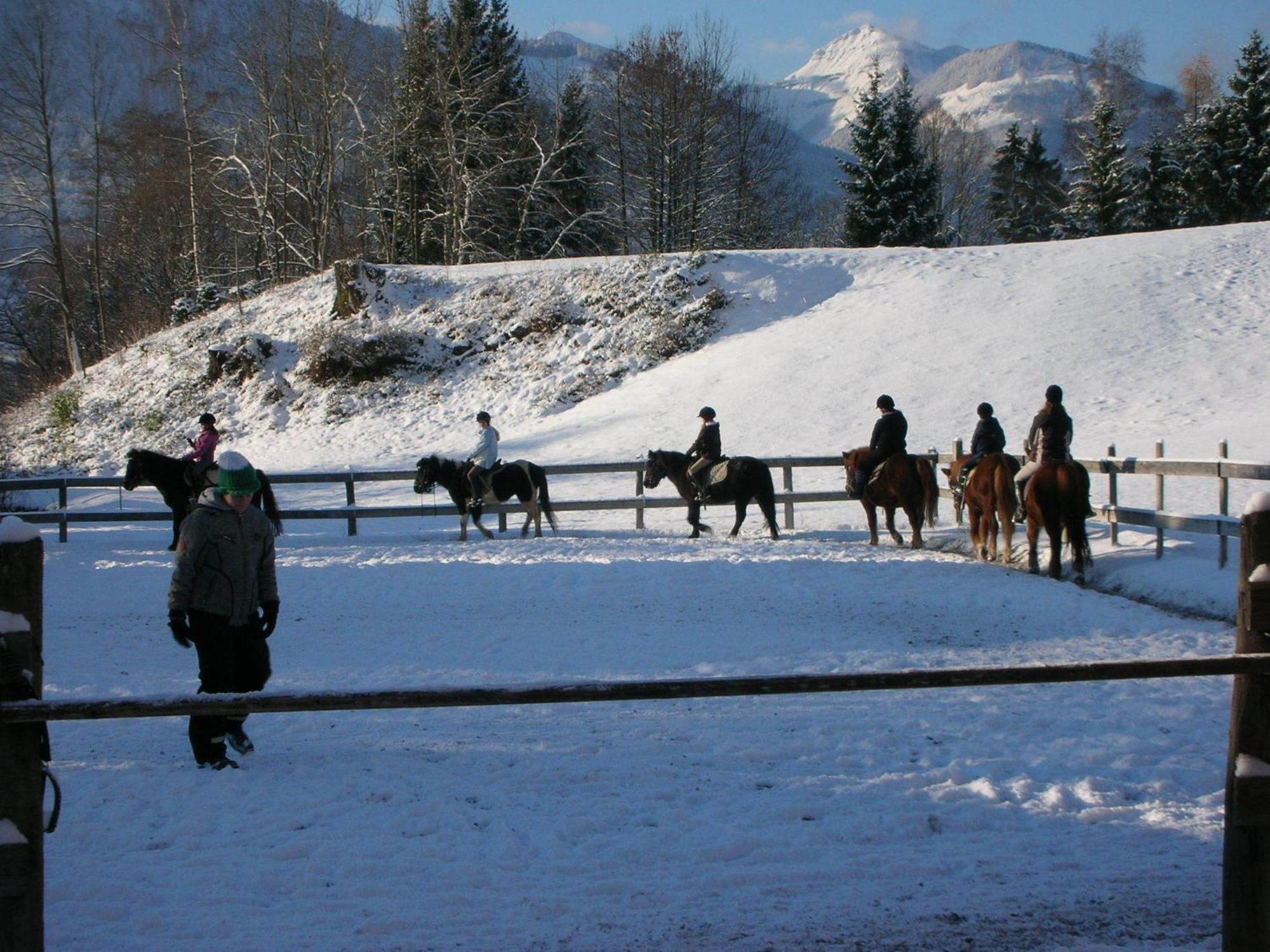 Reiterhof Suassbauer Villa Sankt Wolfgang im Salzkammergut Bagian luar foto