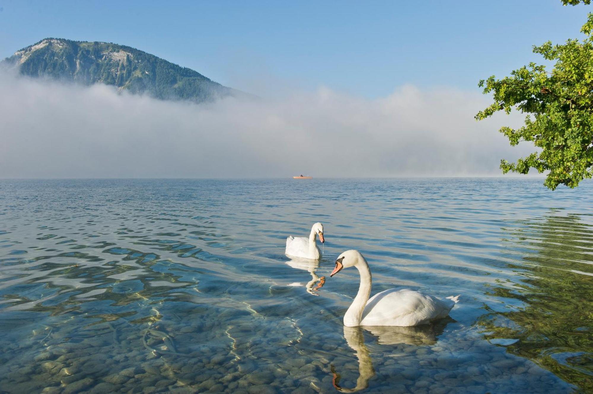 Reiterhof Suassbauer Villa Sankt Wolfgang im Salzkammergut Bagian luar foto