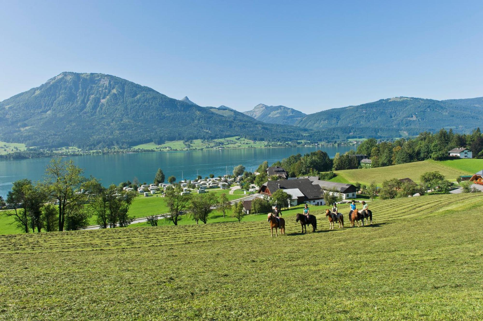 Reiterhof Suassbauer Villa Sankt Wolfgang im Salzkammergut Bagian luar foto