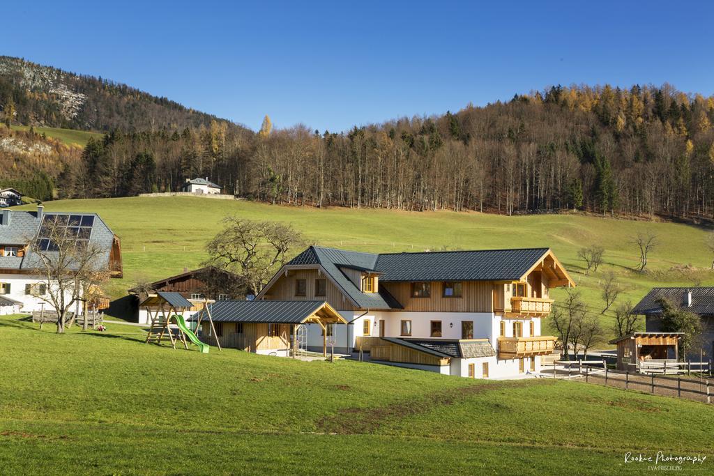 Reiterhof Suassbauer Villa Sankt Wolfgang im Salzkammergut Bagian luar foto