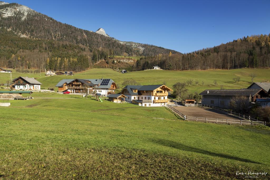 Reiterhof Suassbauer Villa Sankt Wolfgang im Salzkammergut Bagian luar foto